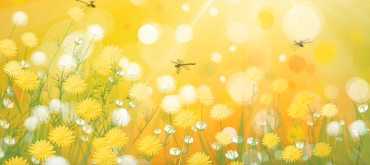 «Одуванчик-солнышко»