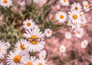 Жукавень Зинаида Андреевна