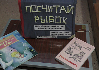 Фотоальбом Межрегиональной акции "Понять. Помочь. Дружить!"