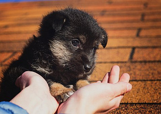 Манакина Светлана Ивановна